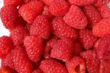 Maliny i jeżyny w Gruzji