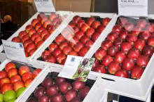 Tabela 3. Przybyło kilka regulatorów wzrostu