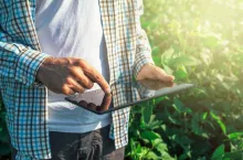 Farmer using digital tablet computer in cultivated soybean crops field, modern technology application in agricultural growing activity, selective focus