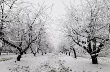 zima stopniowa odwilz