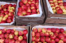 bądźmmy solidarni z rolnikami