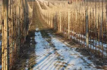 śnieg prognoza pogody