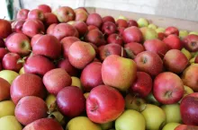 suchy przemysł ceny