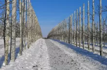 pług do śniegu do ciągnika