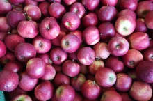 jabłka na obieranie