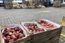 ceny jabłek na broniszach