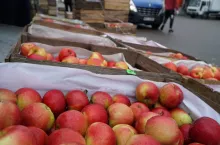 targowisko miejskie w sandomierzu