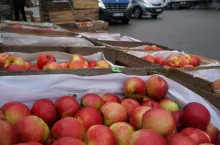 bronisze ceny jabłek