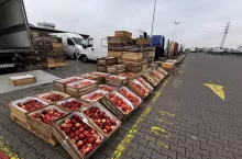 Rynek hurtowy jabłek w Broniszach - aktualne ceny