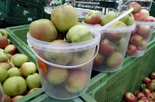 jabłka w polskich marketach
