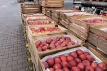 ceny jabłek na broniszach