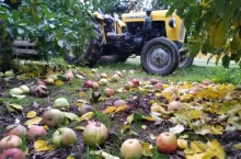 gospodarstwo sadownicze