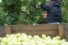 kradzież w gospodarstwie