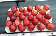 Gala Royal w Wietnamie