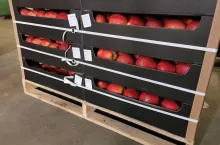 Jonagored na eksport