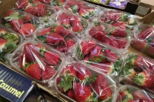 Truskawki - Rynek Hurtowe Bronisze - 02.03.2020