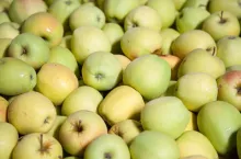 Dobre wiadomości na trudny sezon sadowniczy - INNVIGO