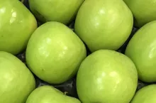 Granny Smith