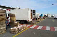 Rynek hurtowych na Broniszach