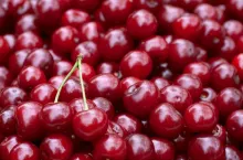 Background from ripe fresh red cherries close-up