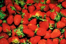 Imacon Color Scanner