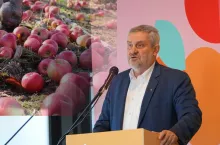 jabłka przemysłowe