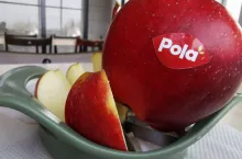jablka marki pola