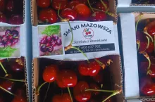 czeresnie z bronislawki