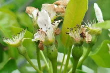 gradobicie 16 kwietnia 2024