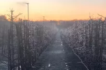 kradzieże w gospodarstwach