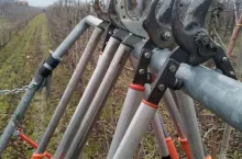 Sad, sekatory - zimowe cięcie drzew owocwych