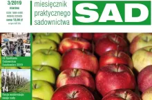 MPS SAD numer 3/2019 - okładka