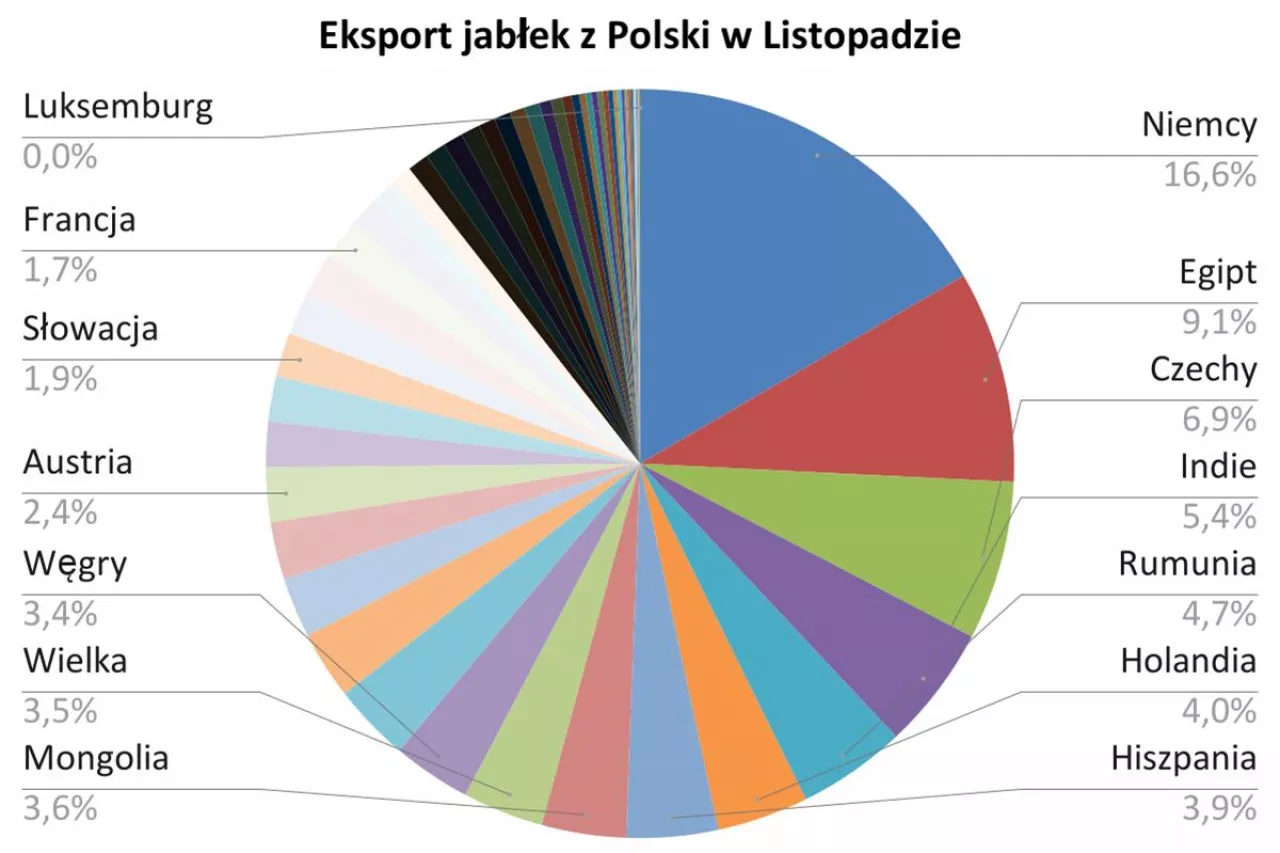 Dane: GUS. Opracowanie własne
