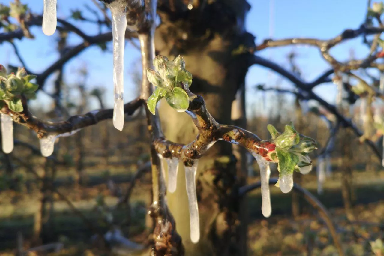 eksperymentalna prognoza pogody