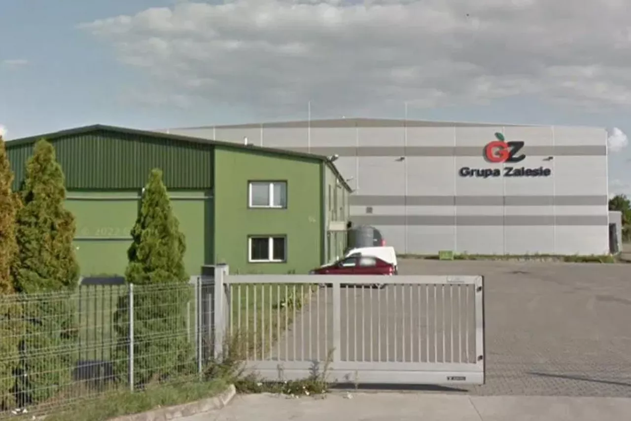 grupa zalesie