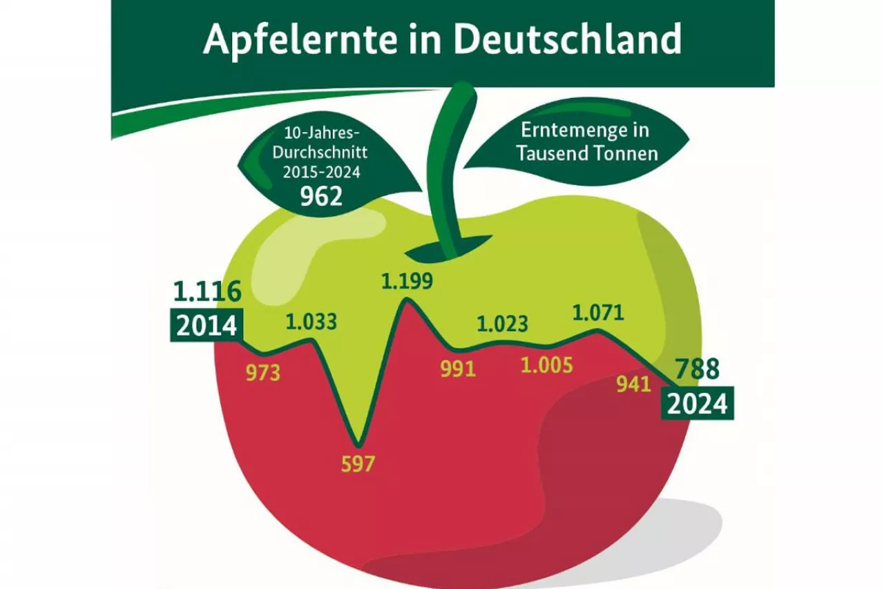 Zbiory jabłek w Niemczech w ostatnich 10 latach