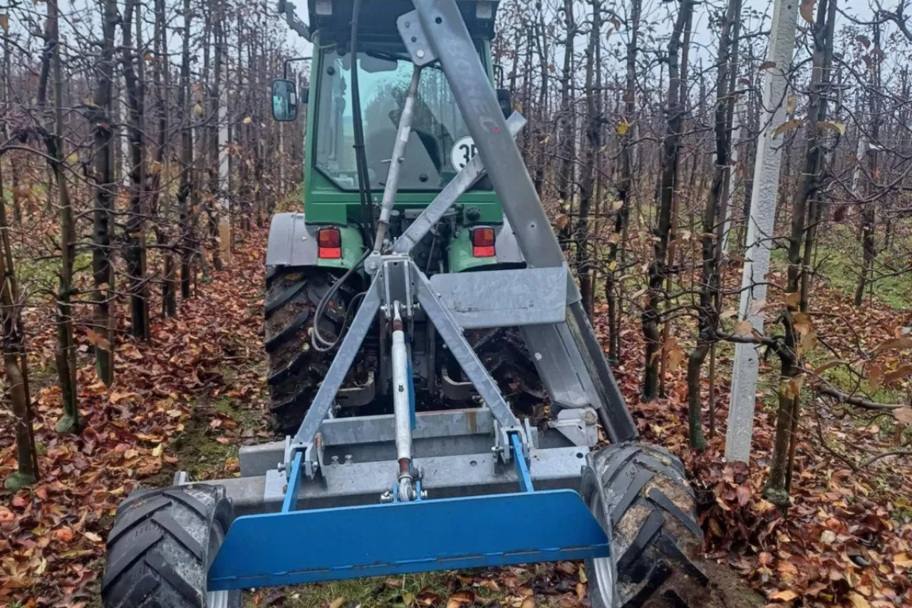 cięcie korzeni późną jesienią