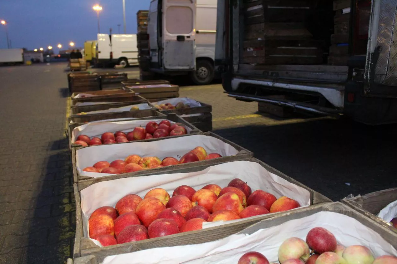 długi handel na broniszach