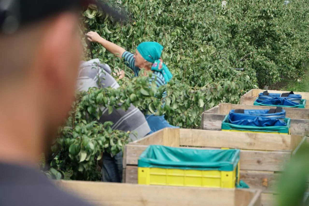 kontrole w gospodarstwach