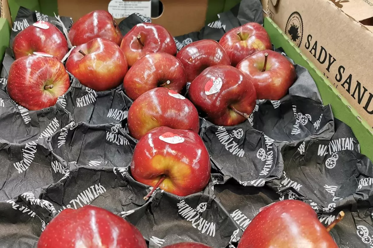 jabłka market