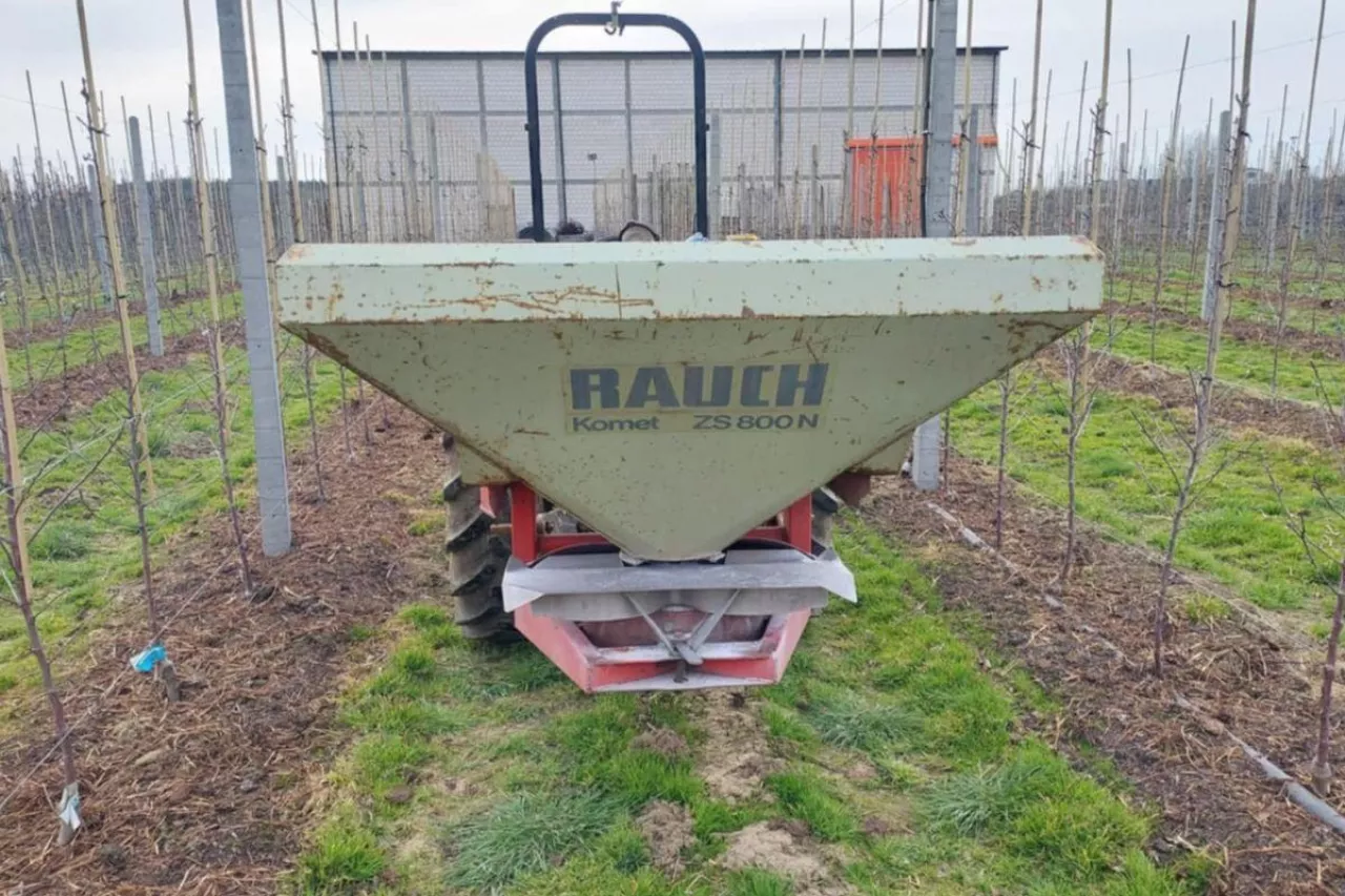 wysiew soli potasowej