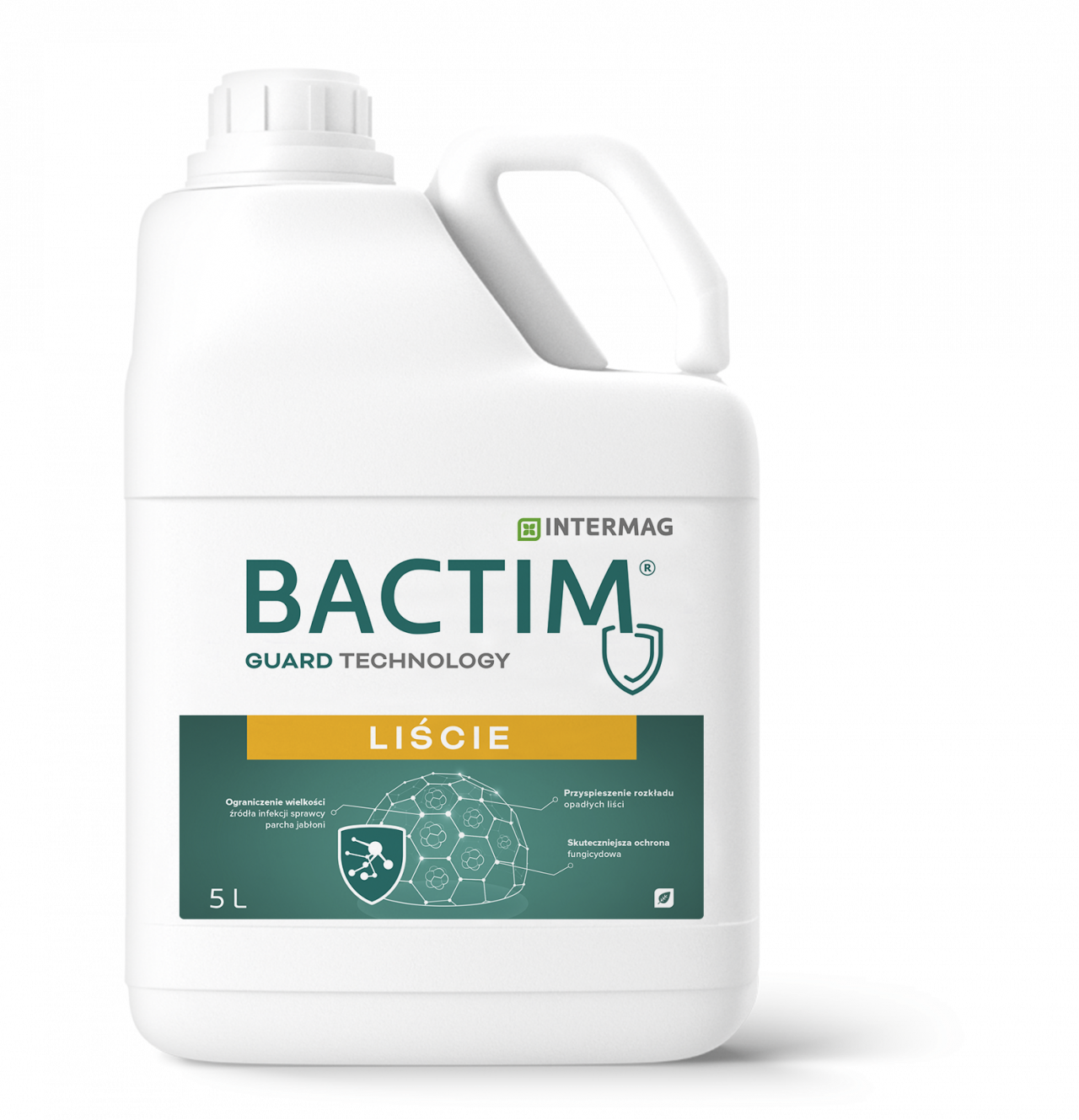 Objawy parch jabłoni widoczne na owocach i liściach jabłoni