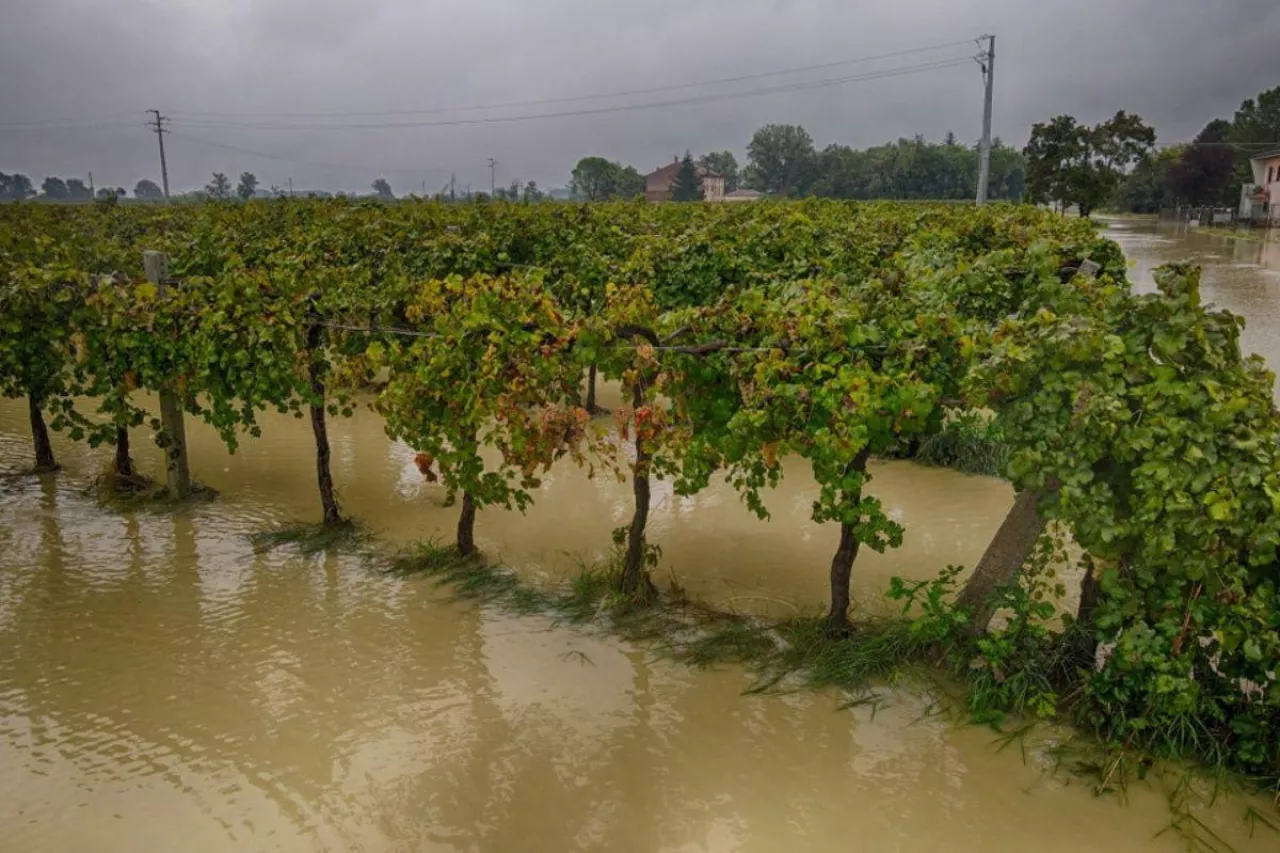 powódź zalała pola uprawne we włoszech