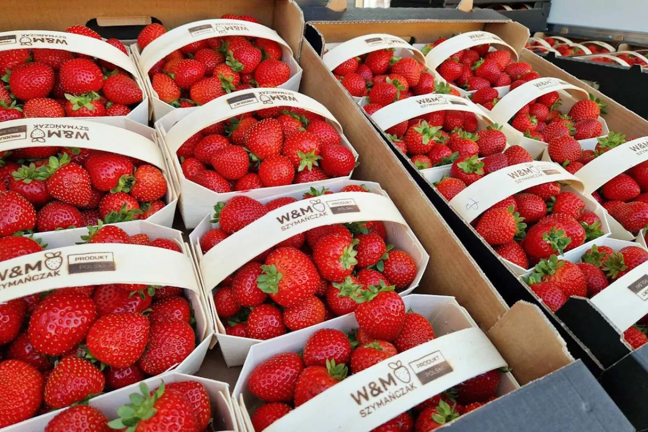 truskawki