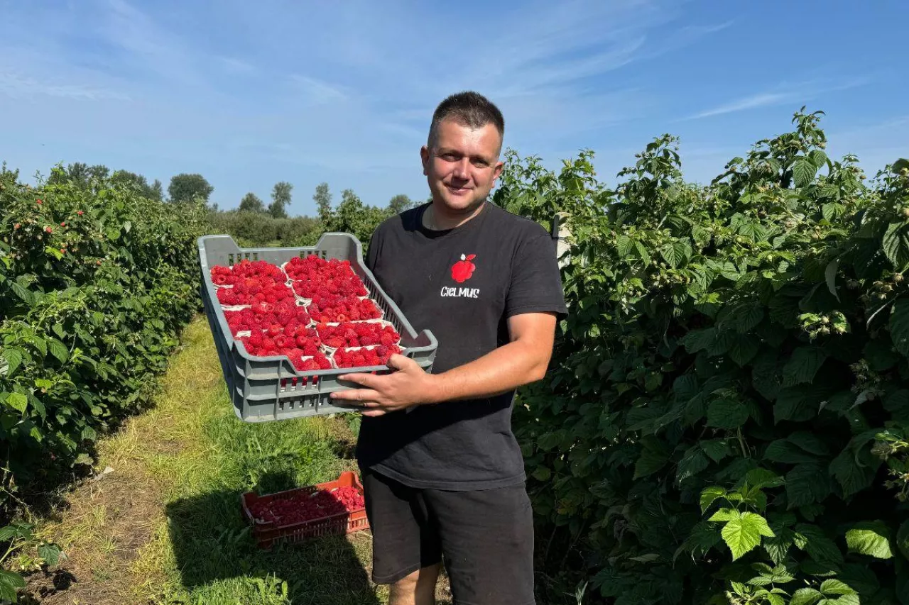 Plantator zaprasza na samozbiory