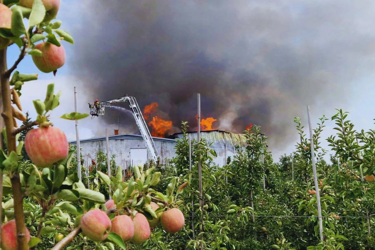 pożar w gospodarstwie sadowniczym
