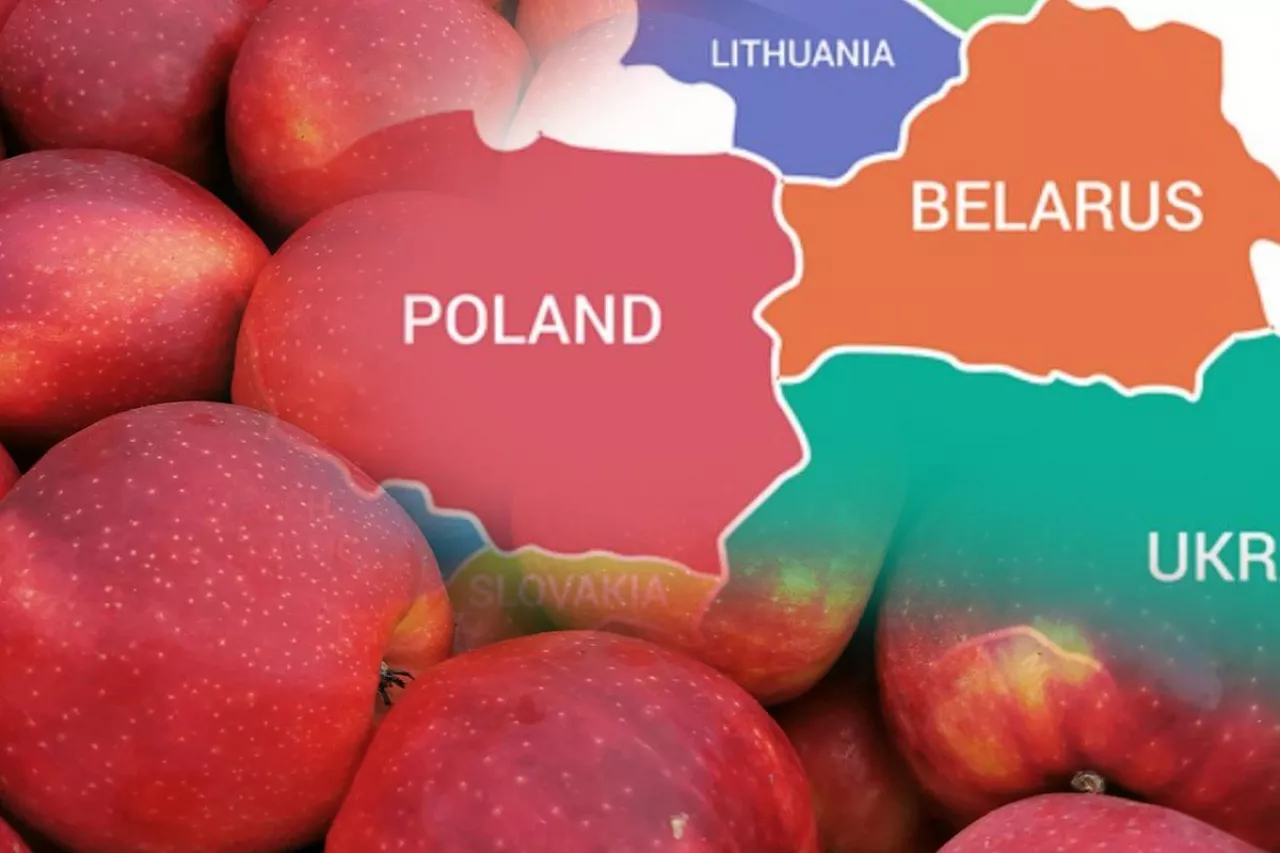 mapa polska białoruś