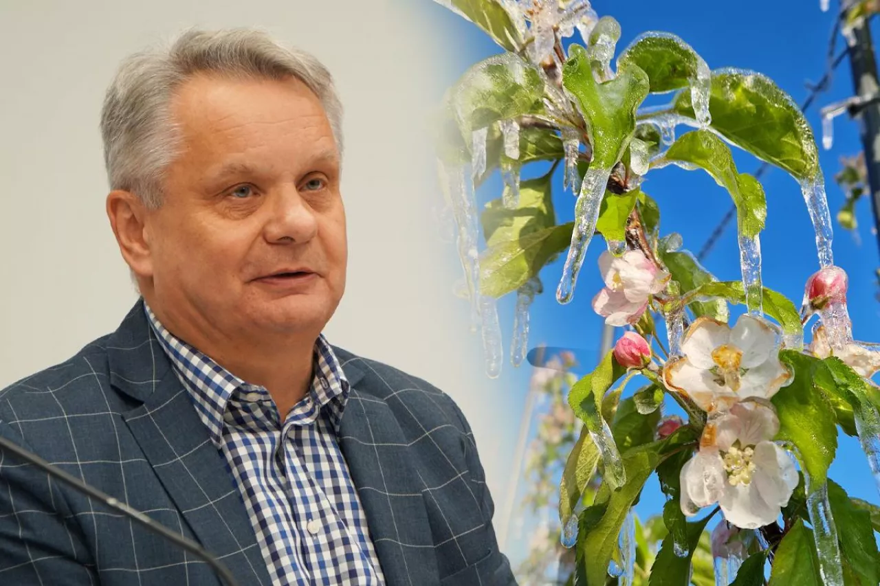 Mirosław Maliszewski