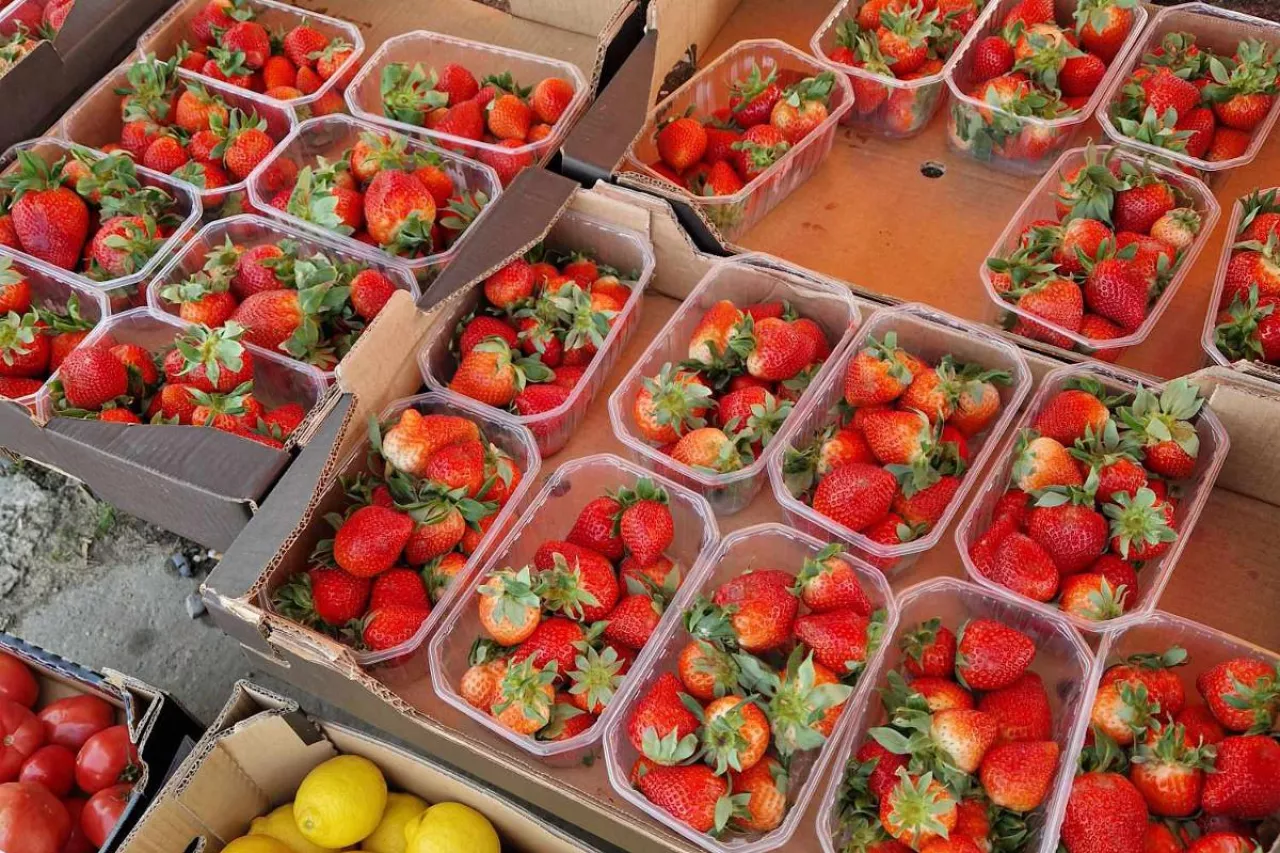 fałszowanie kraju pochodzenia truskawek