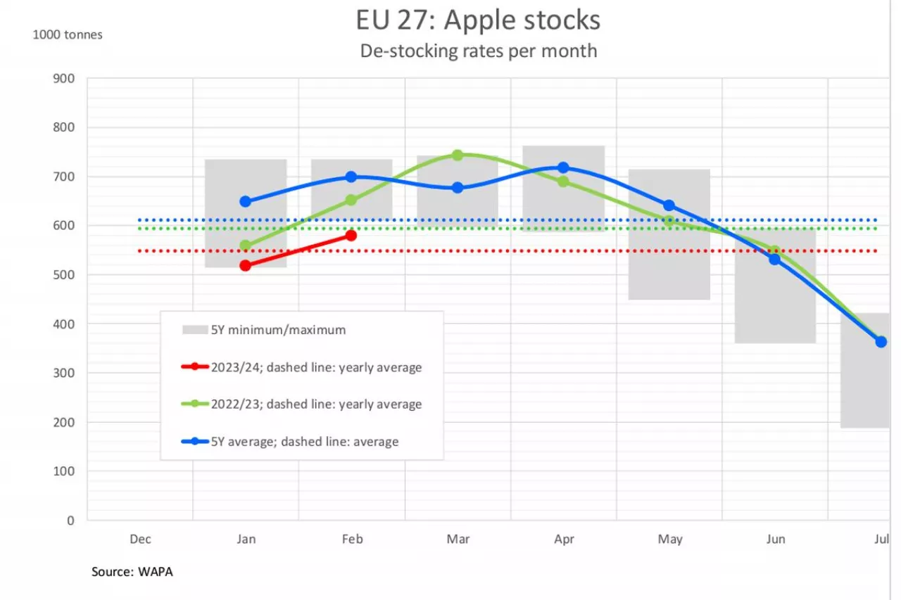 ilosć jabłek w komorach przechowalniczych